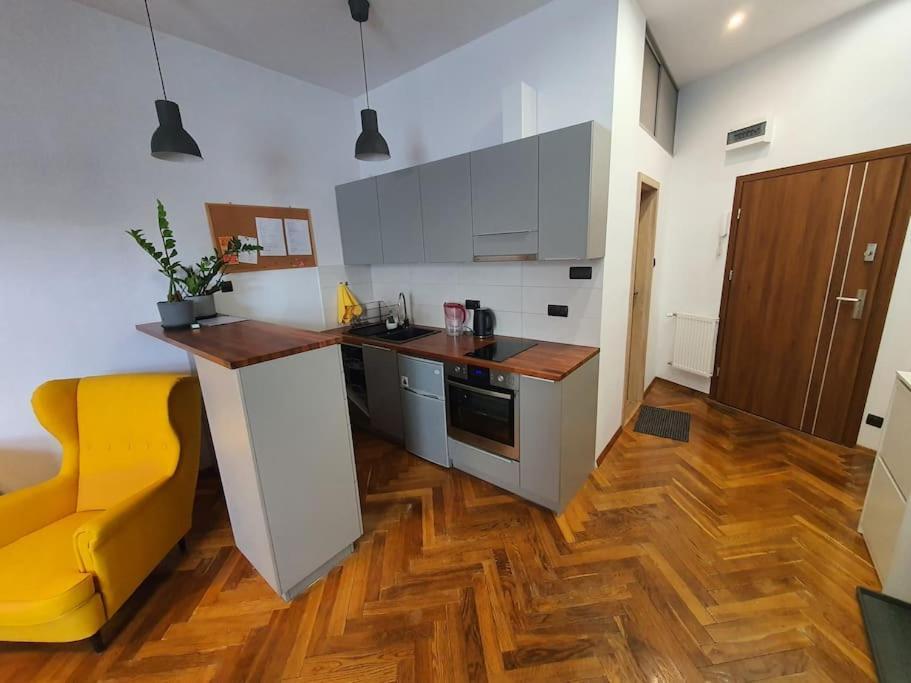 Apartament Przy Szkole Filmowej, Darmowy Parking Lódź Exterior foto